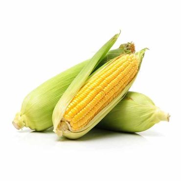 Sweet Corn Uae, 500 G